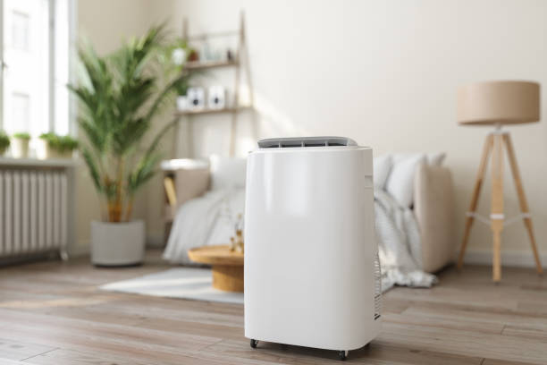 Best HVAC Air Duct Cleaning  in Denton, NC